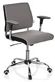 hjh OFFICE 719150 silla de oficina AVIDA tejido gris, con apoyabrazos, ajuste de altura, cromado, inclinable, estable,...